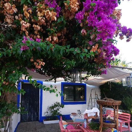Rosal de la FronteraCasa Con Sierra Y Con Portugal别墅 外观 照片